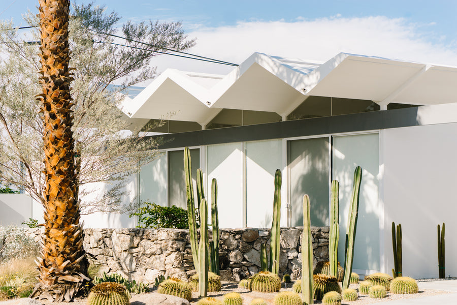 Several tall, slim cacti stand in front of a mid-century home in Palm Springs.